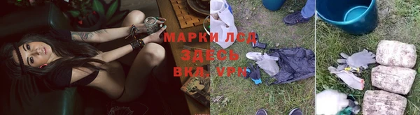 PSILOCYBIN Пересвет
