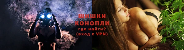 ECSTASY Пестово