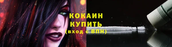 дживик Переславль-Залесский