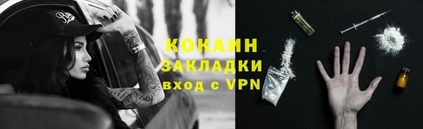 PSILOCYBIN Пересвет