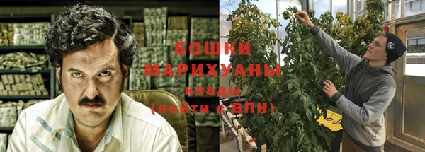 PSILOCYBIN Пересвет