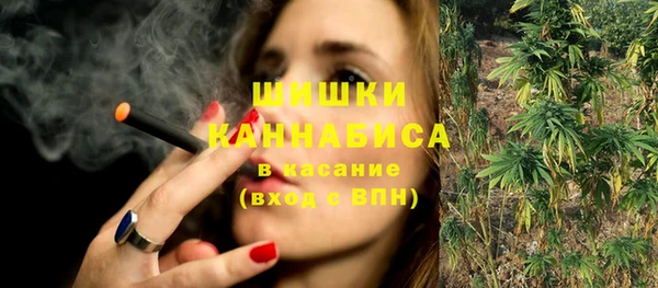 дживик Переславль-Залесский